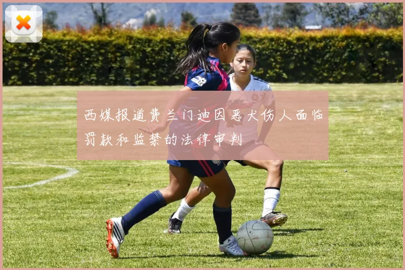 西媒报道费兰门迪因恶犬伤人面临罚款和监禁的法律审判